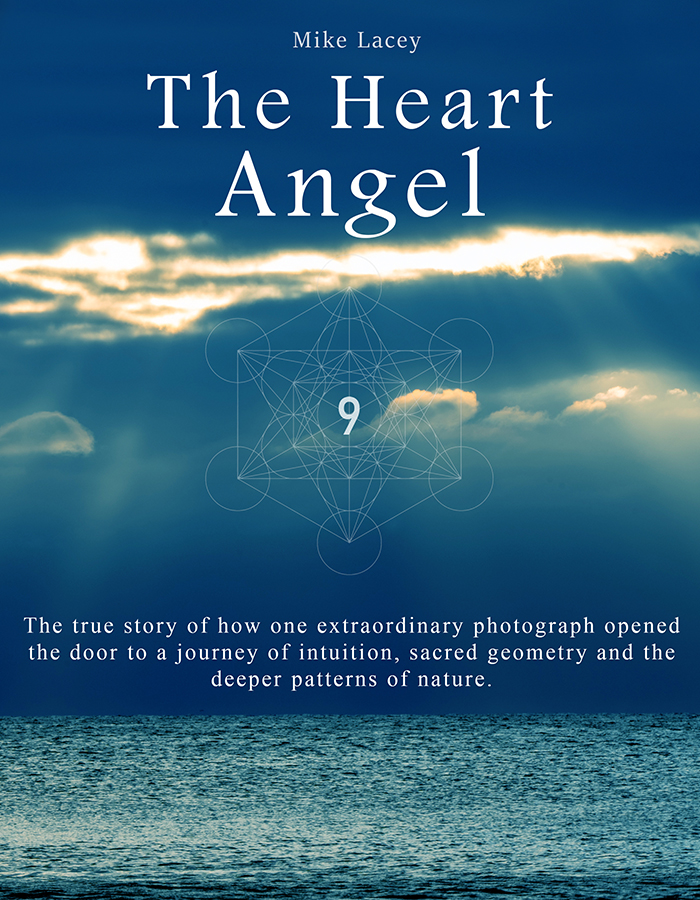 bookcover4web The Heart Angel book - PRE ORDER AVAILABLE - Image 2